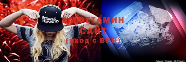 сатива Вязьма