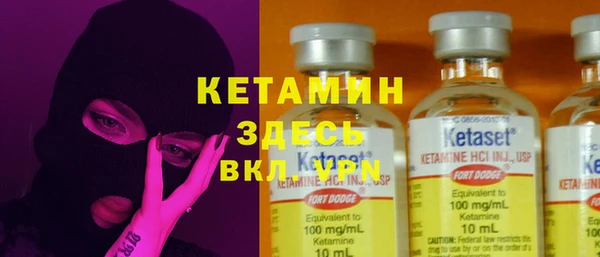 сатива Вязьма