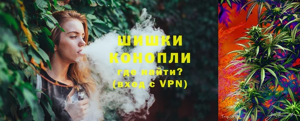 сатива Вязьма