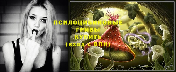 сатива Вязьма