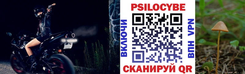 Псилоцибиновые грибы Cubensis  Ульяновск 